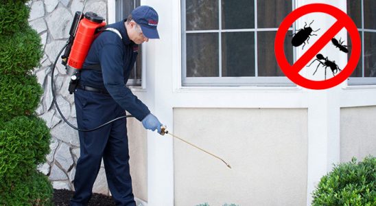 Yağcılar Böcek İlaçlama böcek ilaçlama ve haşere kontrolü — ilaclama-tr.com